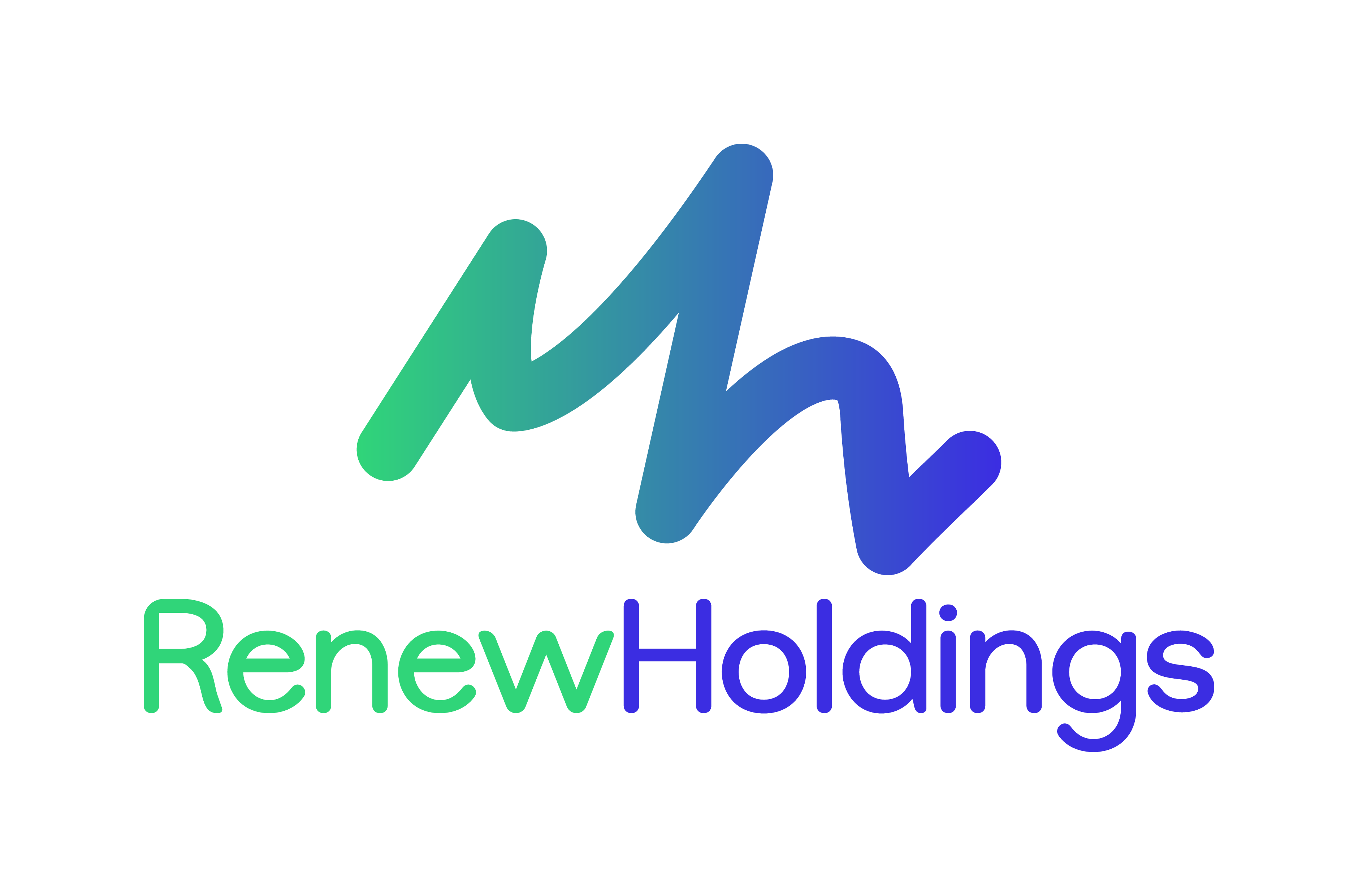 RenewHoldings